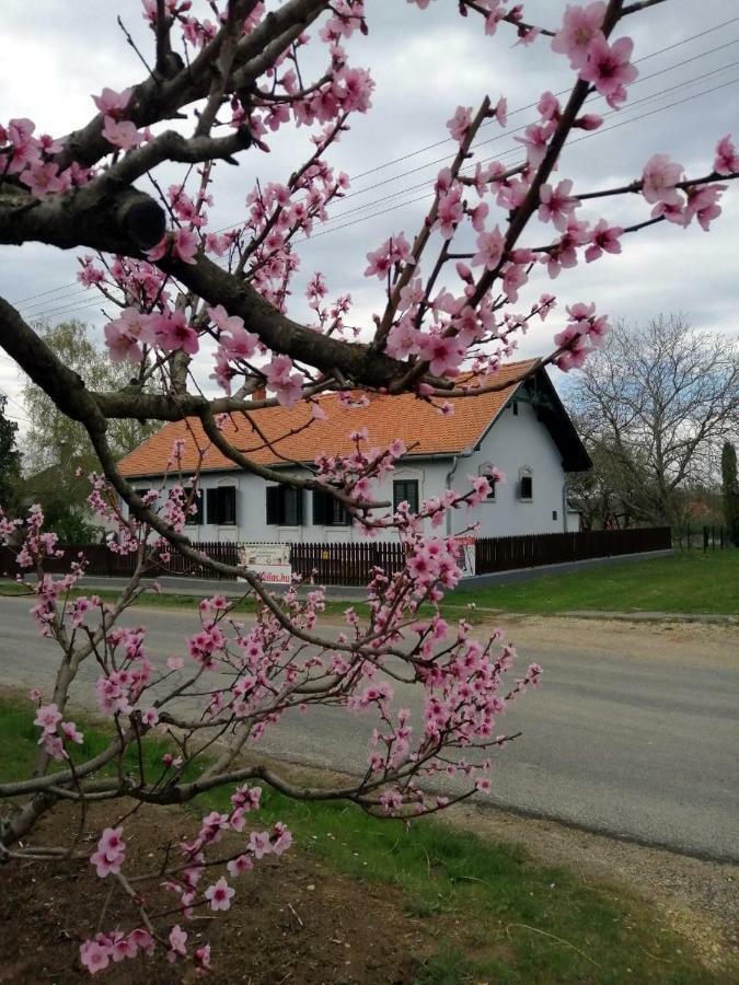 Szentgyoergyvoelgy Vendeghaz Orseg Hotel Szentgyorgyvolgy Luaran gambar